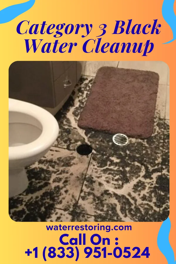 Category 3 Black Water Cleanup in St. Helena, NE